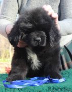 Превью фото № 205384