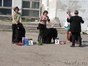 Превью фото № 205396