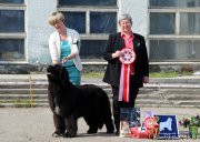 Превью фото № 205466