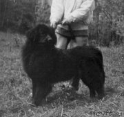 Превью фото № 205471