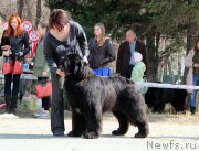 Превью фото № 205472