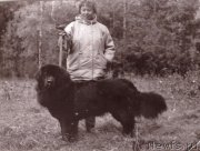 Превью фото № 205485