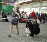 Превью фото № 205518