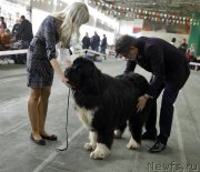 Превью фото № 205519