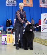 Превью фото № 205554