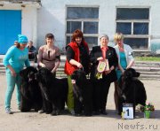 Превью фото № 205570