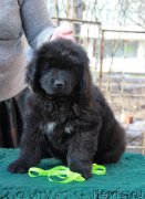 Превью фото № 205579