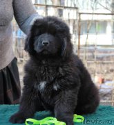 Превью фото № 205580