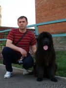 Превью фото № 205606