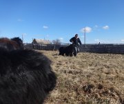 Превью фото № 205615