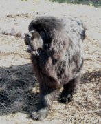 Превью фото № 205659