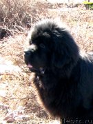 Превью фото № 205669