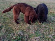 Превью фото № 205729