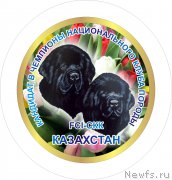 Превью фото № 205767