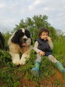 Превью фото № 205771