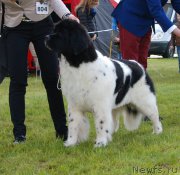 Превью фото № 205816