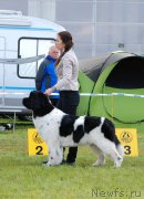 Превью фото № 205817