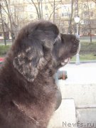 Превью фото № 205831