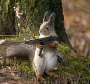 Превью фото № 205852