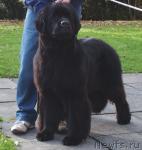 Превью фото № 20589