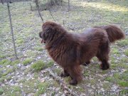 Превью фото № 205890