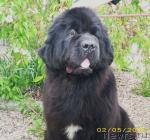 Превью фото № 20590