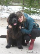 Превью фото № 205939