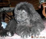 Превью фото № 2060