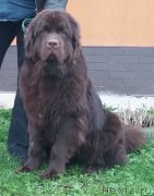 Превью фото № 206000