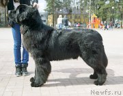 Превью фото № 206030