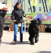 Превью фото № 206031