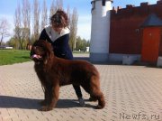 Превью фото № 206033