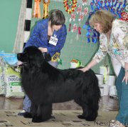 Превью фото № 206073