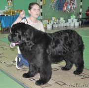 Превью фото № 206076