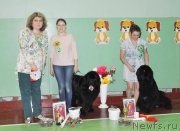 Превью фото № 206078