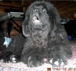 Превью фото № 2061