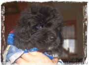 Превью фото № 206122