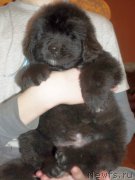 Превью фото № 206125