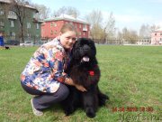 Превью фото № 206180