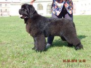 Превью фото № 206182