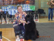 Превью фото № 206184