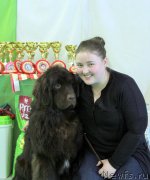 Превью фото № 206209