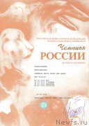 Превью фото № 206231