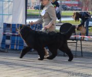 Превью фото № 206232