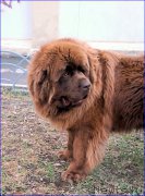 Превью фото № 206286