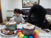 Превью фото № 206312