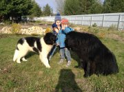 Превью фото № 206347