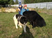 Превью фото № 206348