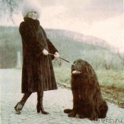 Превью фото № 206357