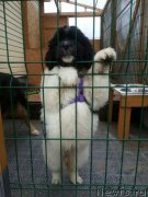 Превью фото № 206376